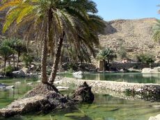 182 Wadi Bani Khalid.JPG